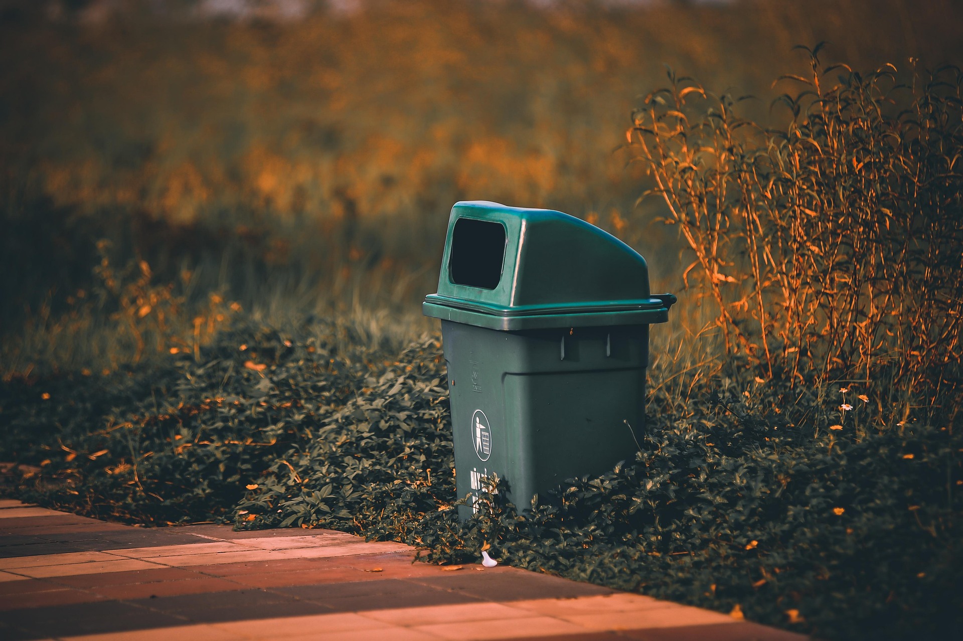 Things You Should Declutter Right Now